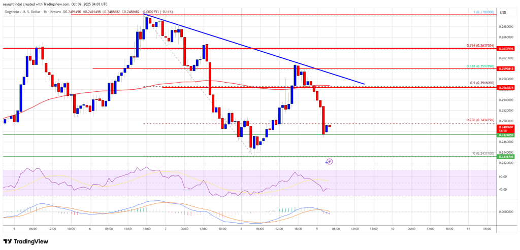 Dogecoin (DOGE) Weakens Again – Bulls On Alert As Downside Risks Resurface