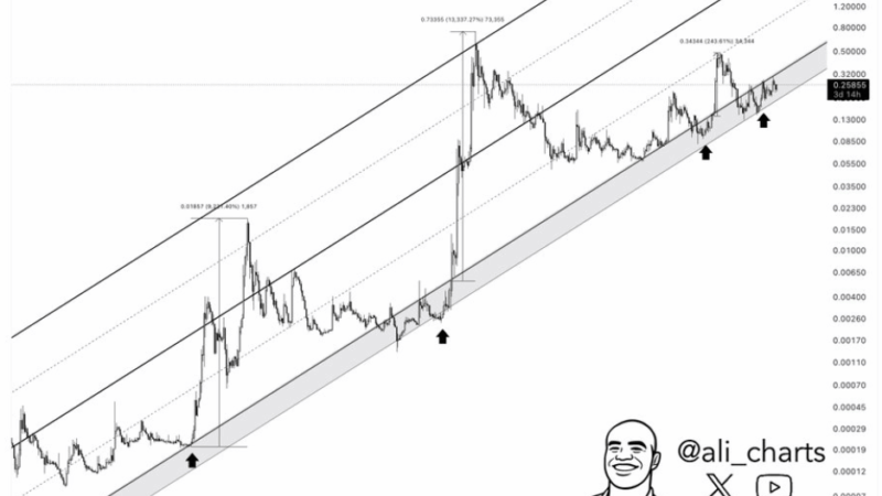 Dogecoin Eyes Massive Breakout: Next Move Depends On $0.30