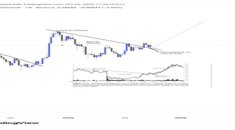 Dogecoin Face-Melting Rally: This Bullish Impulse Will Send Price Toward $0.8 ATH