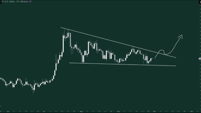 Fast And Furious: XRP’s Next Rally Predicted To Shock Markets