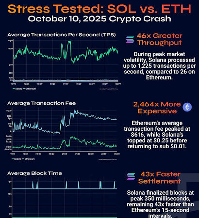 Historic Liquidation Event Highlights Solana Resilience Against Ethereum, Which Is Leading?