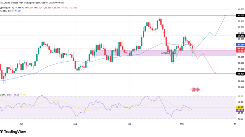 HYPE Drops 6% to $46: Trend Reversal or Hidden Buy Signal for the Bulls?