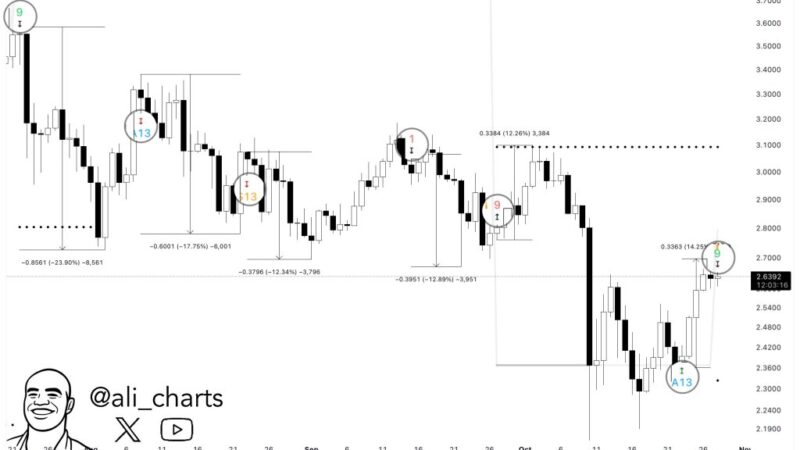 Is XRP Headed For A 16% Drop? Signal Flashes Familiar Warning