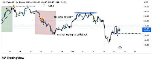 Solana Pauses To Recharge – Will $195 Support Hold The Line For A Comeback?
