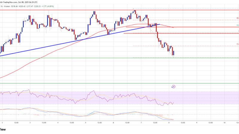 Solana (SOL) Declines Again – Is This A Dip Worth Buying For Recovery?