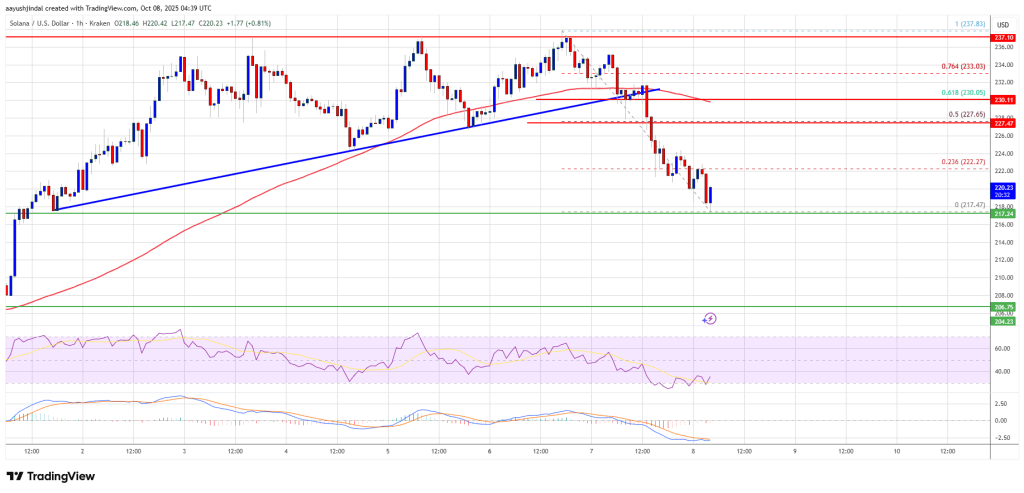 Solana (SOL) Declines Again – Is This A Dip Worth Buying For Recovery?