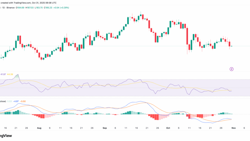 Solana (SOL) Eyes $300, But Only If This Critical Support Holds