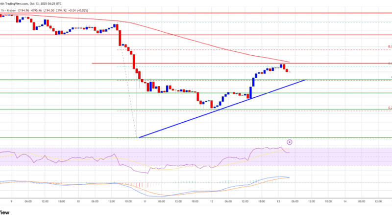Solana (SOL) Pushes Higher Again – Has It Finally Found Its Short-Term Bottom?