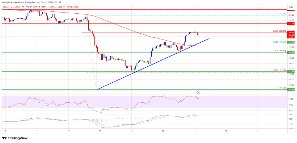 Solana (SOL) Shows Strength – Can The Bulls Maintain Control For Another Leg Up?