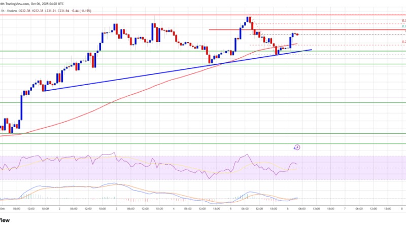 Solana (SOL) Spikes Higher – Bulls Tighten Grip As Market Heats Up Again