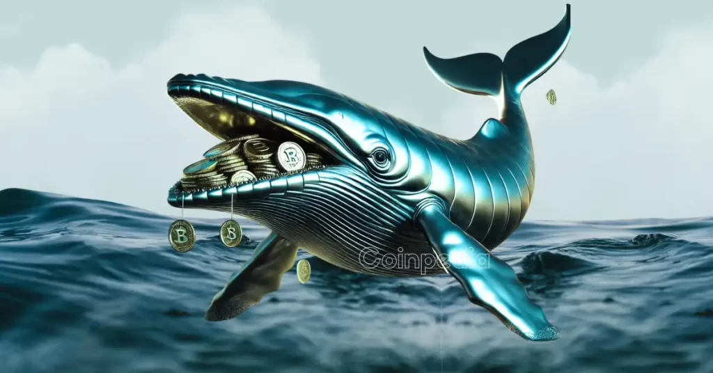 Top Altcoins Crypto Whales Are Buying Amid Market Crash