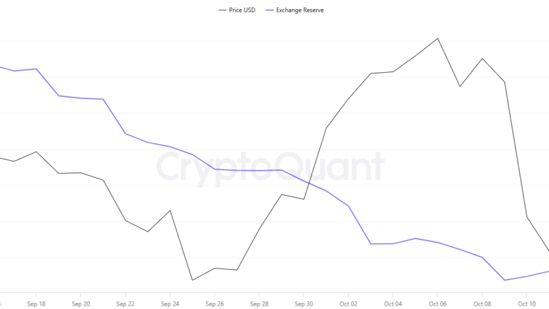 Top Bitcoin (BTC) Price Predictions Following the Crash: New ATH in Sight?