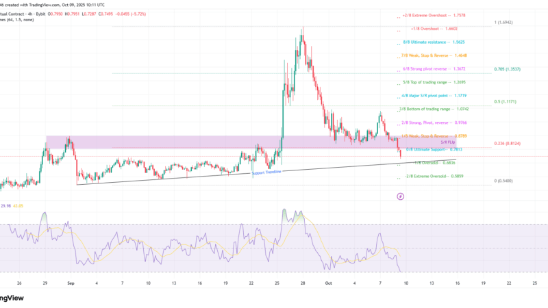 XPL Drops 14% After Pump: What’s Next for Plasma?