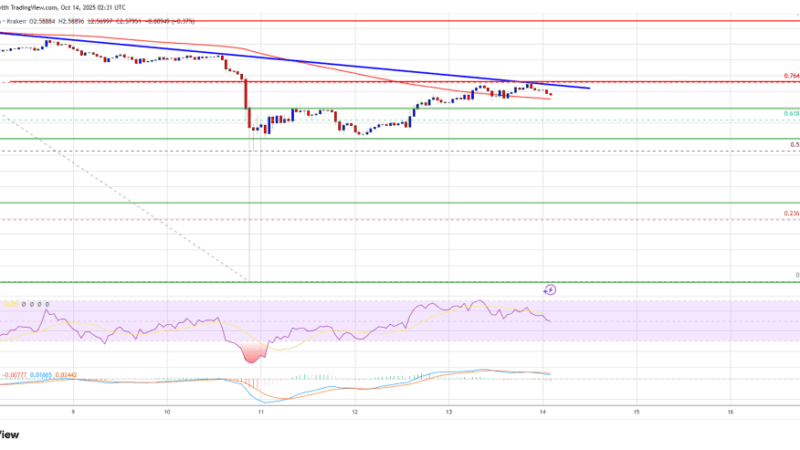 XRP Price Faces Wall – Recovery Hits Resistance As Market Momentum Fades Again