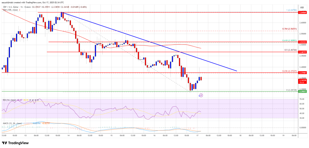 XRP Price Slips Again, Bears Tighten Grip As Momentum Turns Negative