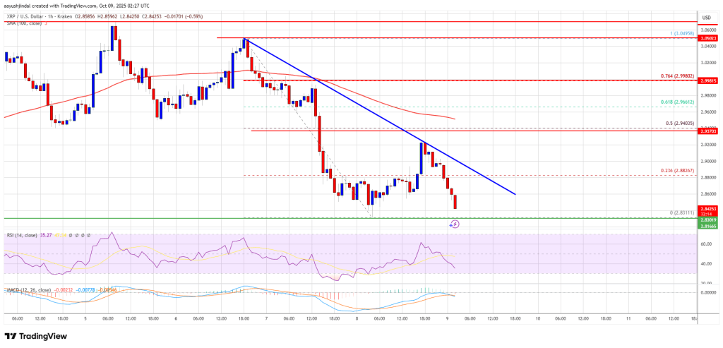 XRP Price Slips Lower – Bears Could Trigger A Sharp Decline If Support Breaks