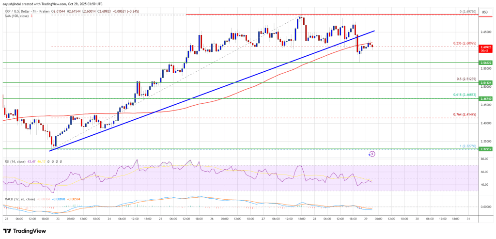 XRP Price Softens — Momentum Weakness Could Limit Upside In Near Term
