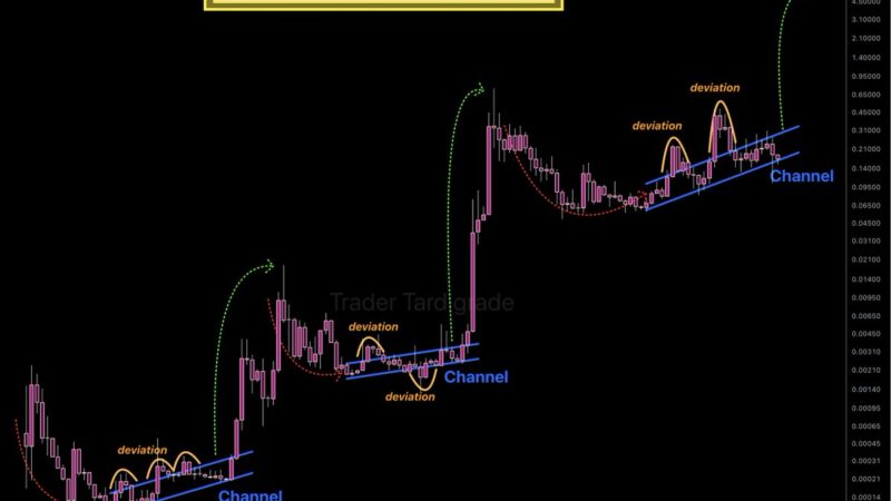 4,720,000,000 DOGE Bought in 2 Weeks: Are Whales Fueling a Rally?