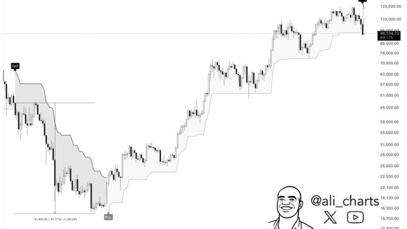 Bitcoin Price Alert: This Indicator Signals SELL, Could History Repeat With A 67% Drop?