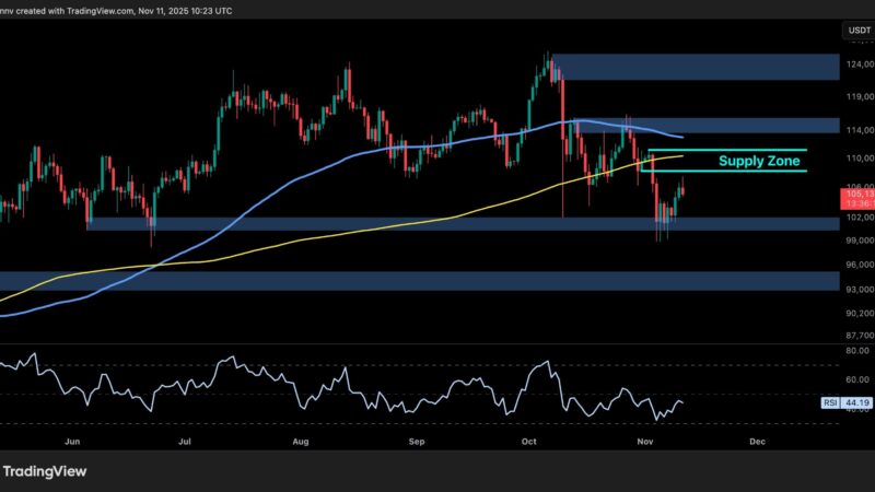Bitcoin Price Analysis: BTC Still at Risk of a Sub-$100K Drop Amid a Weak Bounce