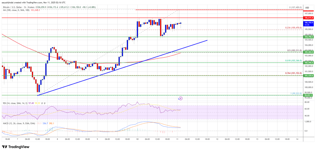 Bitcoin Price Confronts Major Technical Wall Around $107K, Momentum Starts to Slow