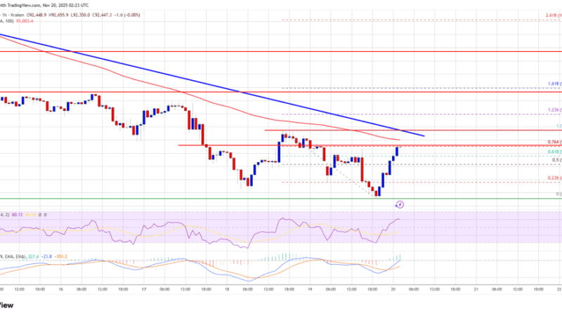 Bitcoin Price Fails to Rebound, Keeping Struggle Intact Near Crucial Zones