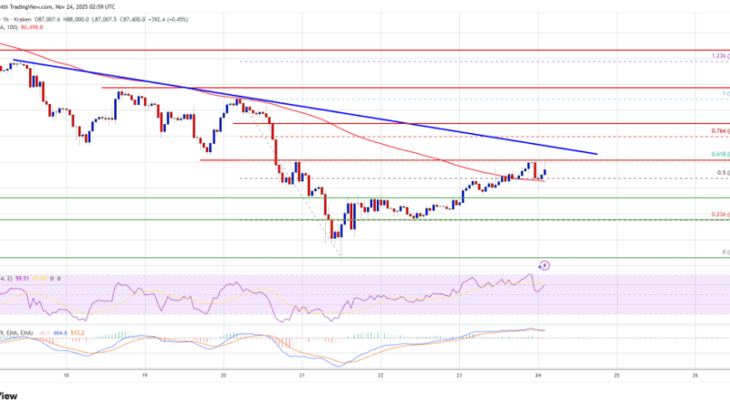 Bitcoin Price Tries Rebound Move as Dip-Buyers Step In Cautiously