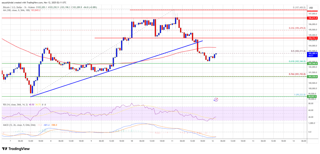 Bitcoin Recovery Falters — Weak Volume Signals Possible Exhaustion of Buyers