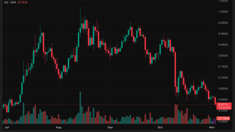 Cardano (ADA) Price Drops 5% Amid Trader Shorts, Hoskinson Blames Community for DeFi Struggles