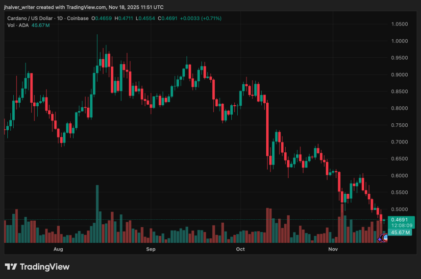 Cardano on the Edge: Whale Loss Sparks Sell-Off as ADA Risks Drop to $0.43–$0.30 Range