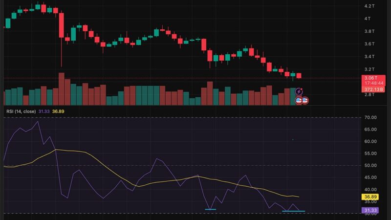 Crypto News Today, November 19: Crypto Price Chart Showing a Sign of Bottom as Bitcoin and Major Alts Holding