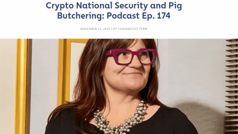 Crypto ‘Pig-Butchering’ Scam Escalating Into A National Security Risk— Study