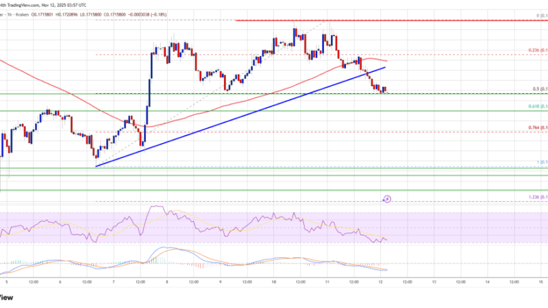 Dogecoin (DOGE) Falls Back Mildly — Support Just Below Could Trigger Fresh Upside