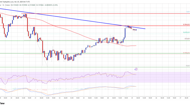 Dogecoin (DOGE) Hits Resistance, Recovery Momentum Shows First Signs of Fading