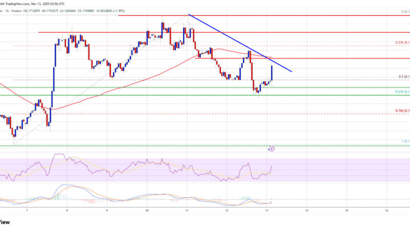 Dogecoin (DOGE) Maintains Support Amid Market Weakness, Bulls Seek Confirmation Bounce