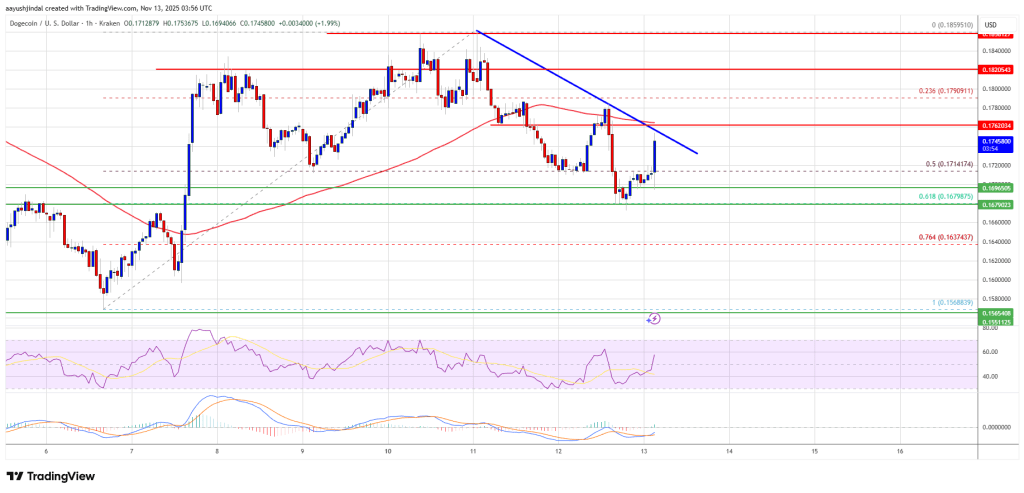 Dogecoin (DOGE) Maintains Support Amid Market Weakness, Bulls Seek Confirmation Bounce