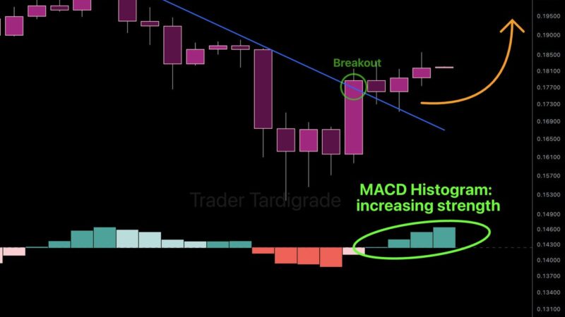 Dogecoin (DOGE) Momentum Builds as Bulls Target $0.21 Zone