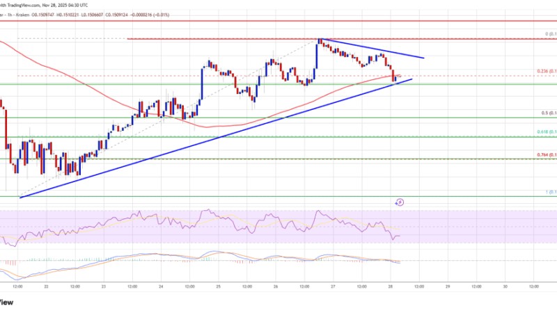 Dogecoin (DOGE) Pauses After Gains, Setting Up for a Possible Sharp Move