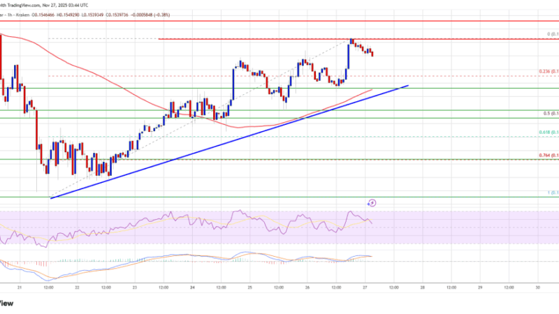 Dogecoin (DOGE) Shows Controlled Strength as Traders Eye Key Resistance Above