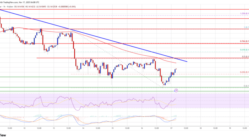 Dogecoin (DOGE) Weak Rebound Attempts, Signaling Struggle to Mount Recovery