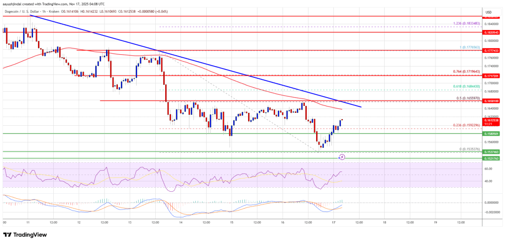 Dogecoin (DOGE) Weak Rebound Attempts, Signaling Struggle to Mount Recovery