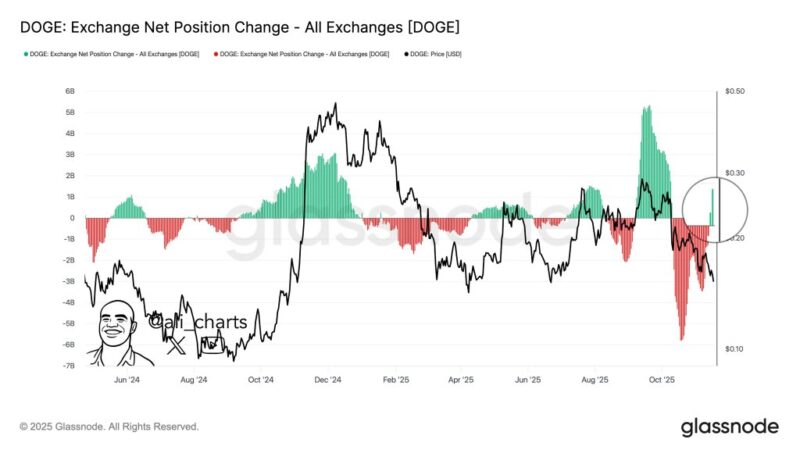 Dogecoin Flashes Major Rebound Signal As Exchange Flows Flip, Analyst Warns