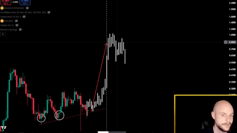 Dogecoin Momentum Returns: $1 Target Back In Play, Says Analyst