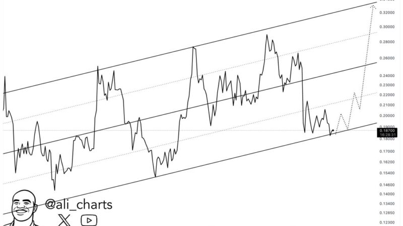 Dogecoin Must Defend This Level To Avoid A $0.07 Meltdown, On-Chain Data Shows