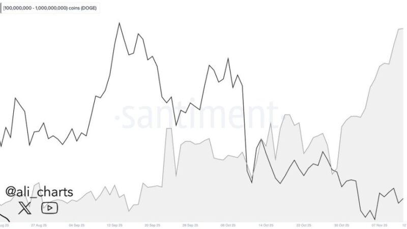 Dogecoin Whales Load Up: 4.72 Billion DOGE Vanish Into Mega Wallets