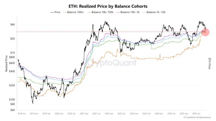 Ethereum Is Sitting On Its Most Critical On-Chain Support Level — A Rally Emerging?