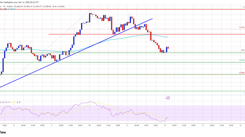 Ethereum Pullback Reaches Support — Will Bulls Step In to Defend Territory?