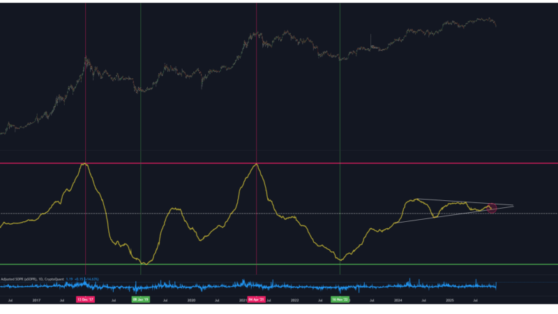 Is Bitcoin Yet To Top In This Cycle? What aSOPR Suggests