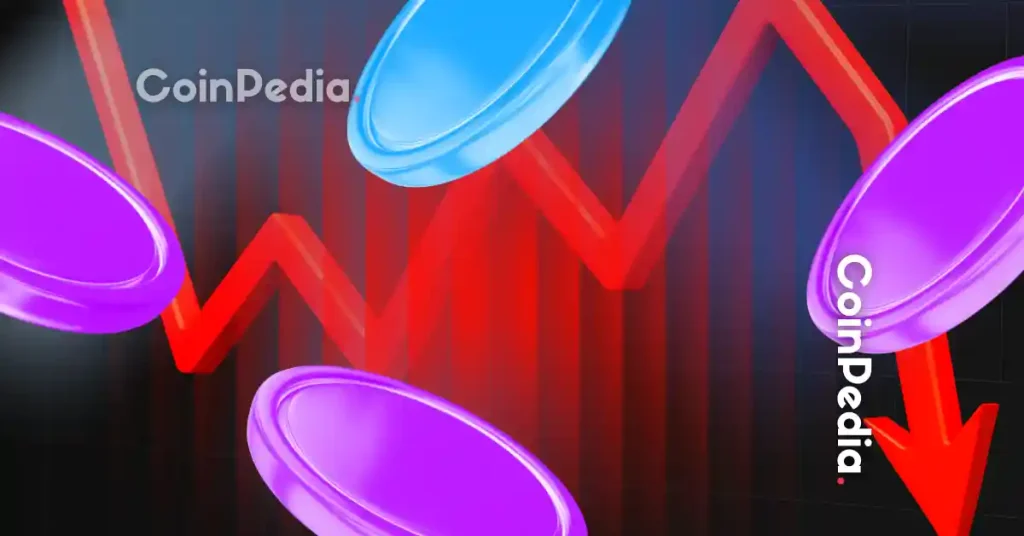 Ran Neuner Rejects Bitcoin Crash Panic, Says Bull Market Is Still Here