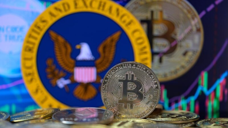 SEC Puts Crypto Treasury Probe on Hold During Shutdown